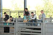 08FEST-031