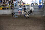 08FEST-060