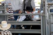 08FEST-081