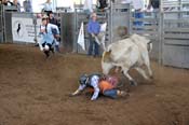 08FEST-089