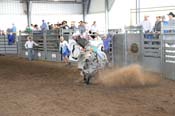 08FEST-091