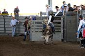 08FEST-093