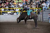 08FEST-104